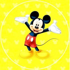 71008R Disc vafa Mickey Mouse D20cm